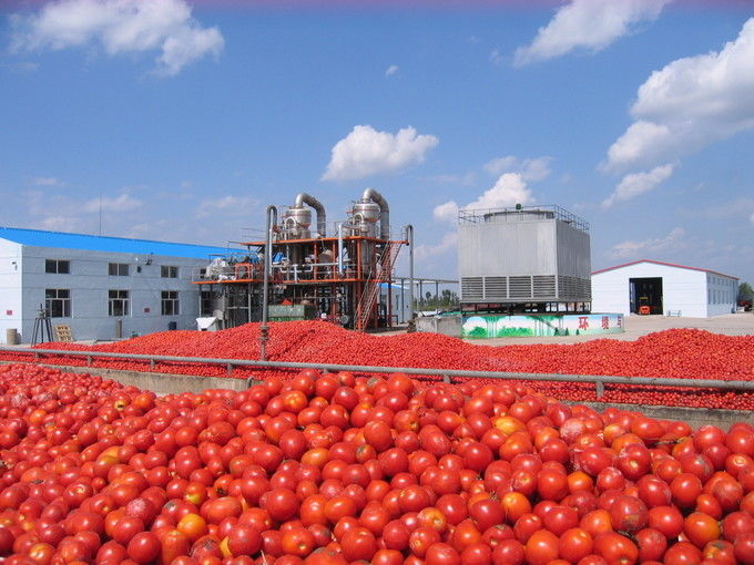 Arkhum (Tianjin) Health Technology Co., Ltd. สายการผลิตของผู้ผลิต